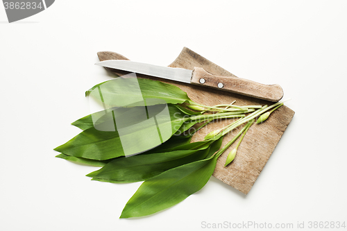 Image of Wild garlic