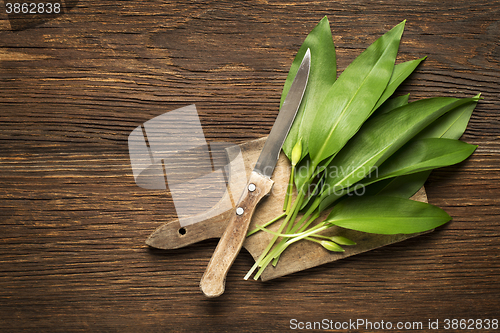 Image of Wild garlic