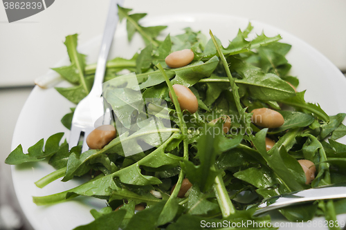 Image of Dandelion salad