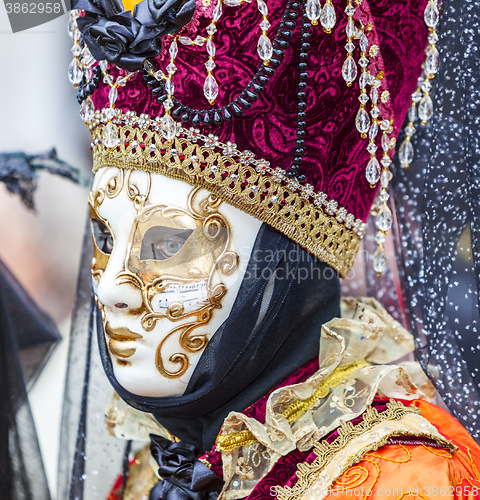 Image of Portrait of a Disguised Person - Venice Carnival 2014