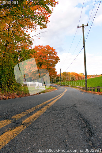 Image of Vibrant Fall Foliage Road