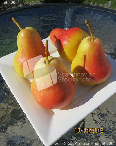 Image of Flamingo pears