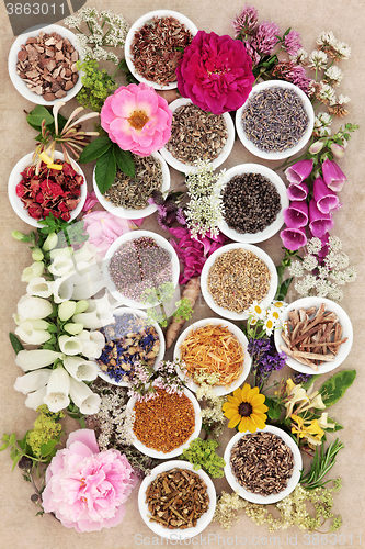 Image of Natural Herbal  Medicine