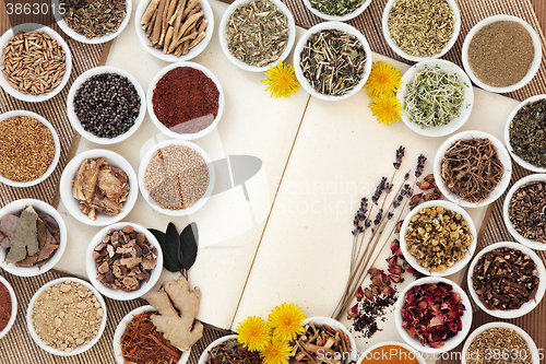 Image of Womens Herbal Health 