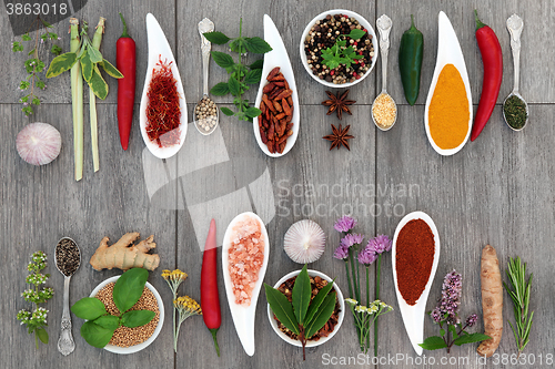 Image of Herbs and Spices