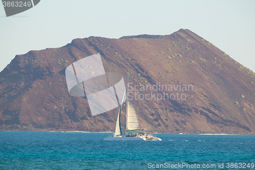 Image of Catamarans cruising the blue sea.