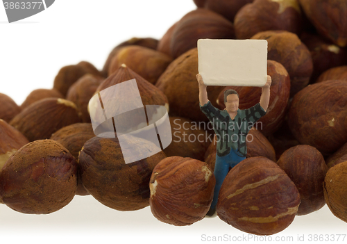 Image of Miniature worker working with hazelnuts
