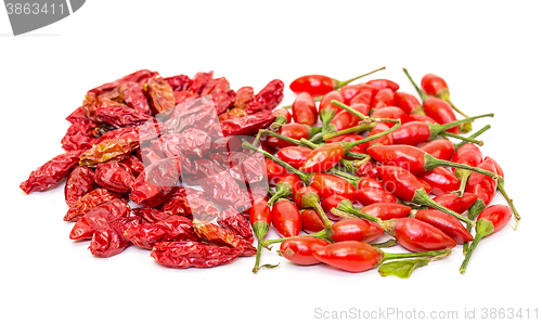 Image of Heap of Ripe and Dried Red Peppers Piri-Piri