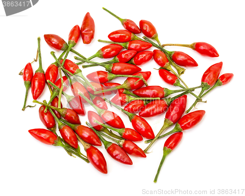 Image of Heap of Ripe Red Peppers Piri-Piri