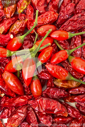 Image of Heap of Ripe and Dried Red Peppers Piri-Piri