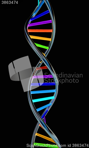 Image of DNA structure model