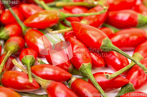 Image of Heap of Ripe Red Peppers Piri-Piri