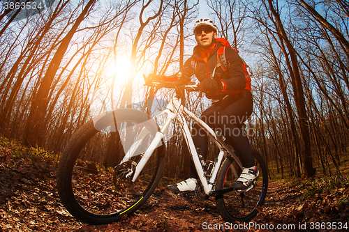 Image of Cyclist Riding the Bike