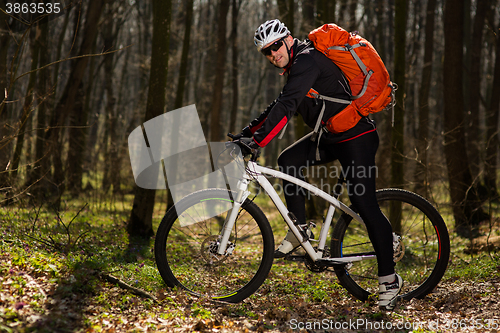 Image of Mountain biker riding on bike in springforest landscape. 