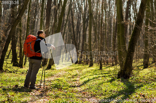 Image of Active healthy man hiking in beautiful forest