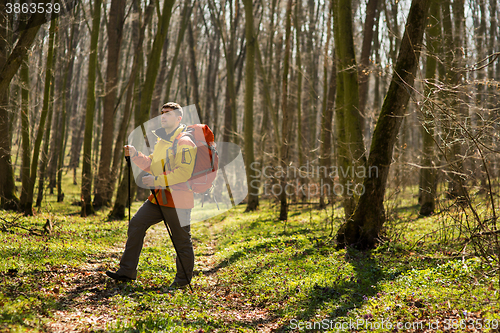 Image of Active healthy man hiking in beautiful forest