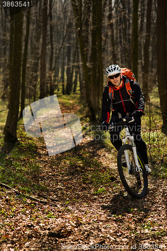 Image of Mountain biker riding on bike in springforest landscape. 