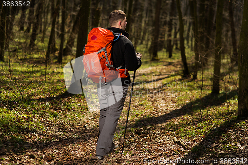 Image of Active healthy man hiking in beautiful forest