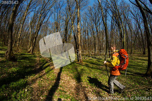 Image of Active healthy man hiking in beautiful forest