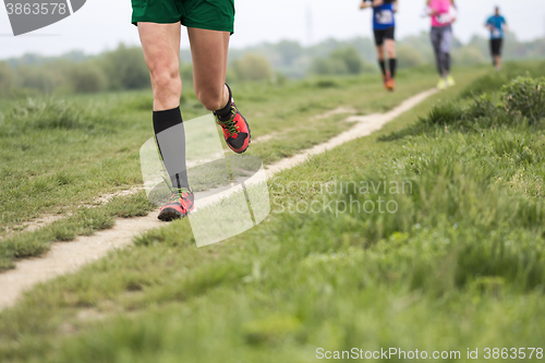 Image of Marathon cross-country running