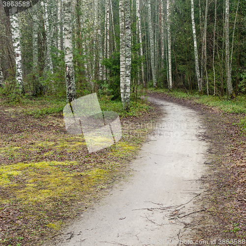 Image of Foggy spring landscape with footpath in the woods