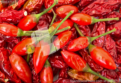 Image of Heap of Ripe and Dried Red Peppers Piri-Piri