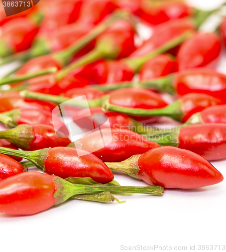 Image of Heap of Ripe Red Peppers Piri-Piri