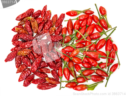 Image of Heap of Ripe and Dried Red Peppers Piri-Piri