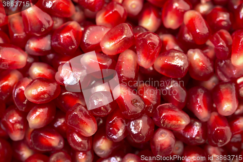 Image of Backdrop from Fresh Pomegranate Seeds