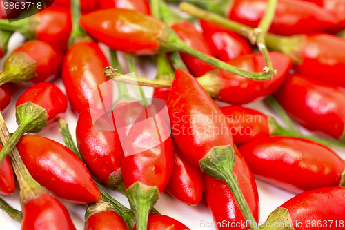 Image of Heap of Ripe Red Peppers Piri-Piri