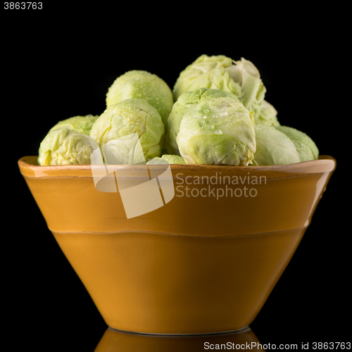 Image of Fresh brussels sprouts