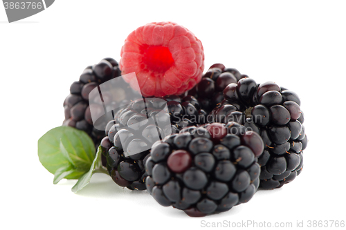 Image of Raspberry with blackberry 