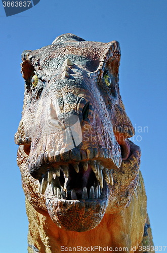 Image of Tyrannosaurus Rex