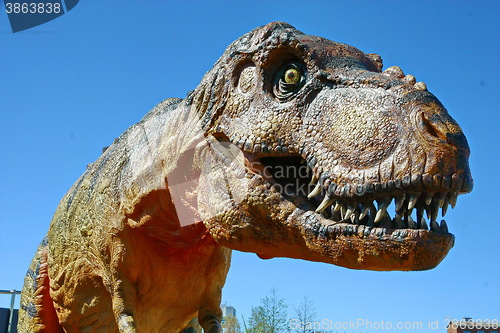 Image of Tyrannosaurus Rex