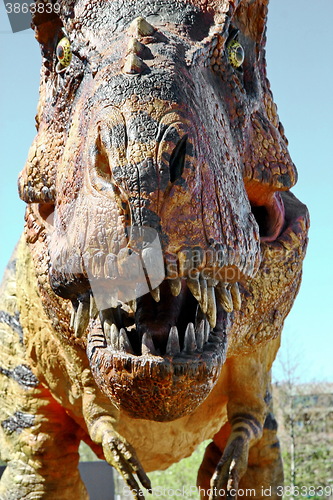Image of Tyrannosaurus Rex
