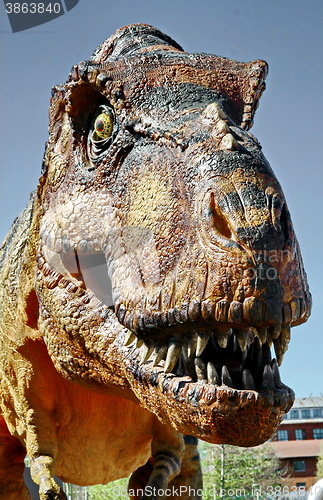 Image of Tyrannosaurus Rex