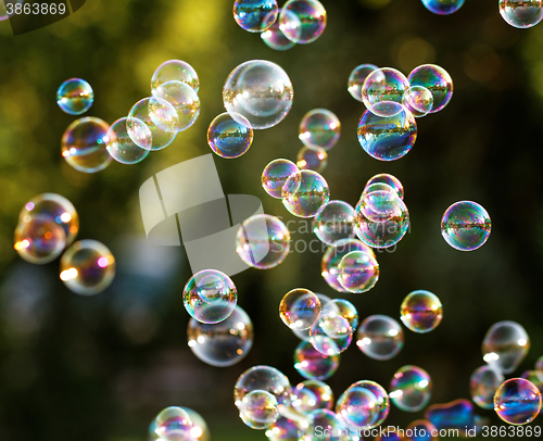 Image of Soap bubbles