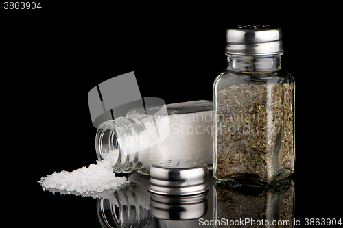 Image of  Salt and oregano shakers