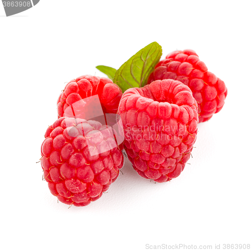 Image of Raspberry fruit isolated