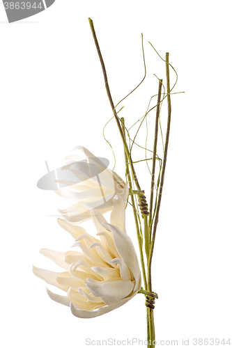 Image of Artificial gardenia flower