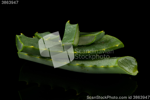 Image of Sliced aloe leaf