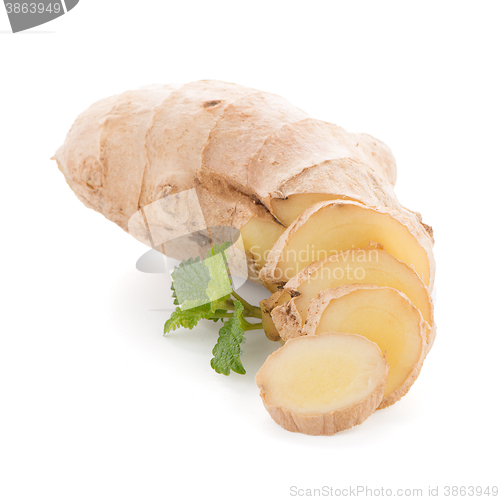 Image of Ginger root on white