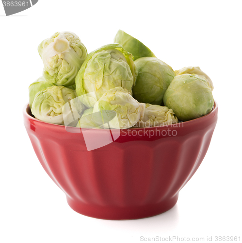 Image of Fresh brussels sprouts