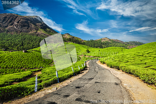 Image of Road in tea plantations, India