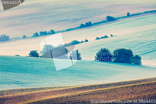 Image of Moravian rolling fields in morning mist