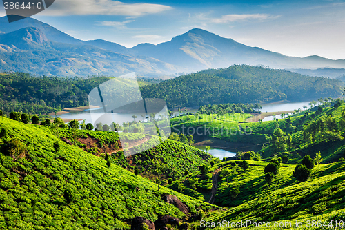 Image of Tea plantations and river in hills. Kerala, India