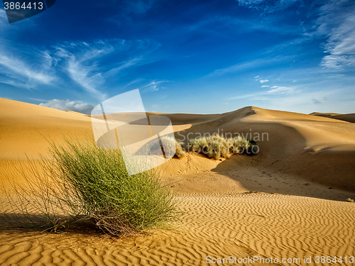 Image of Sand dunes in desert