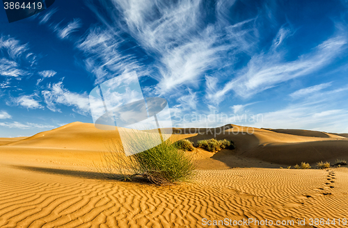 Image of Sand dunes in desert