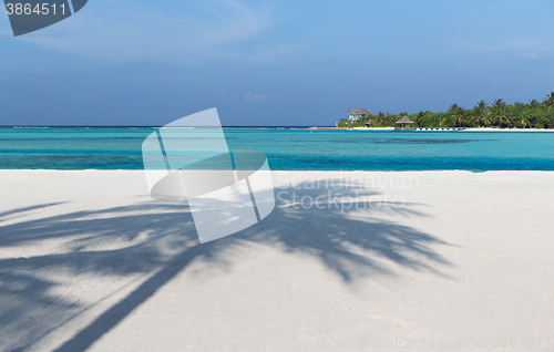 Image of maldives island beach with palm tree and villa