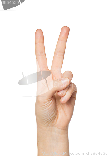 Image of close up of hand showing peace or victory sign